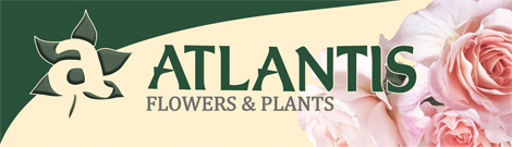 Logo Atlantis Flowers and Plants